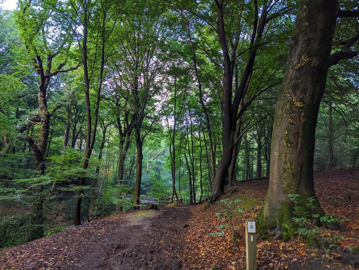 Klavertje 4 Middelaar ภายนอก รูปภาพ